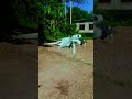 drone 👍✅
