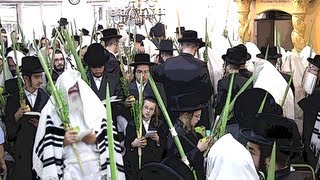 וידאו נדיר: ההושענות אצל מוהרא