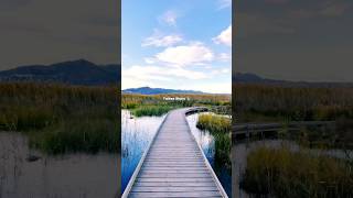 Maheroo Maheroo Song Whatsapp Status Love Status Lyricalsonu