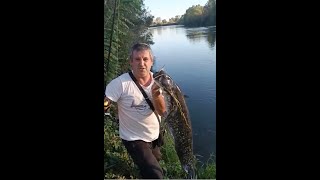 Улов на Сом в Бистра Вода / Catfish Catch in Clear Water