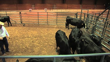 Ron Gill - Stockmanship - Sorting Cattle into a larger pen