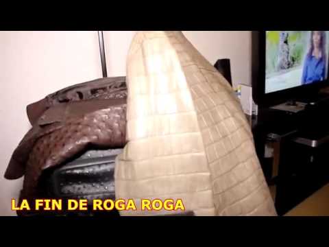 Roga Roga Insulté Par La Diaspora A Cause De La Chanson Oyo Ekoya Ka Eya Babyswiz242 