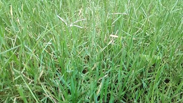 POCO F1 Slow Motion Recording with GCAM😎😎