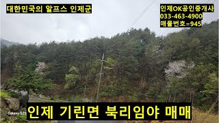 인제 기린면 북리 임야 매매