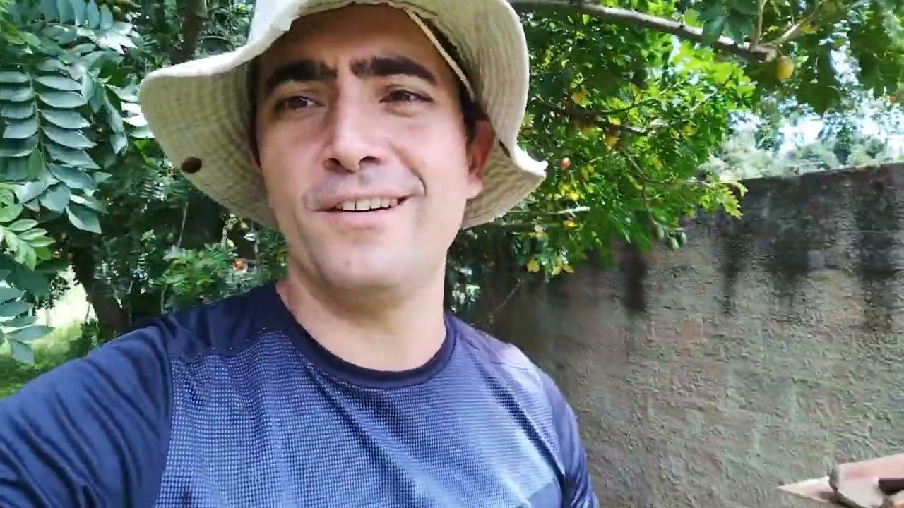 Cuidados necessários com os meliponários rurais! ☀️🌿🐝❤️🙏🏻