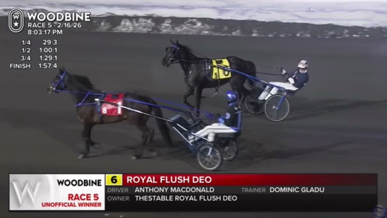 ROYAL FLUSH DEO hat-trick win - Feb 16/26