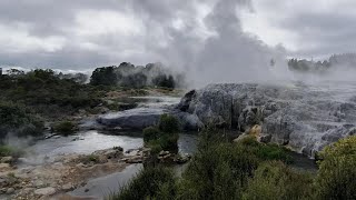 Te Puia, Rotorua Geothermal Park -  Rotorua Central, New Zealand