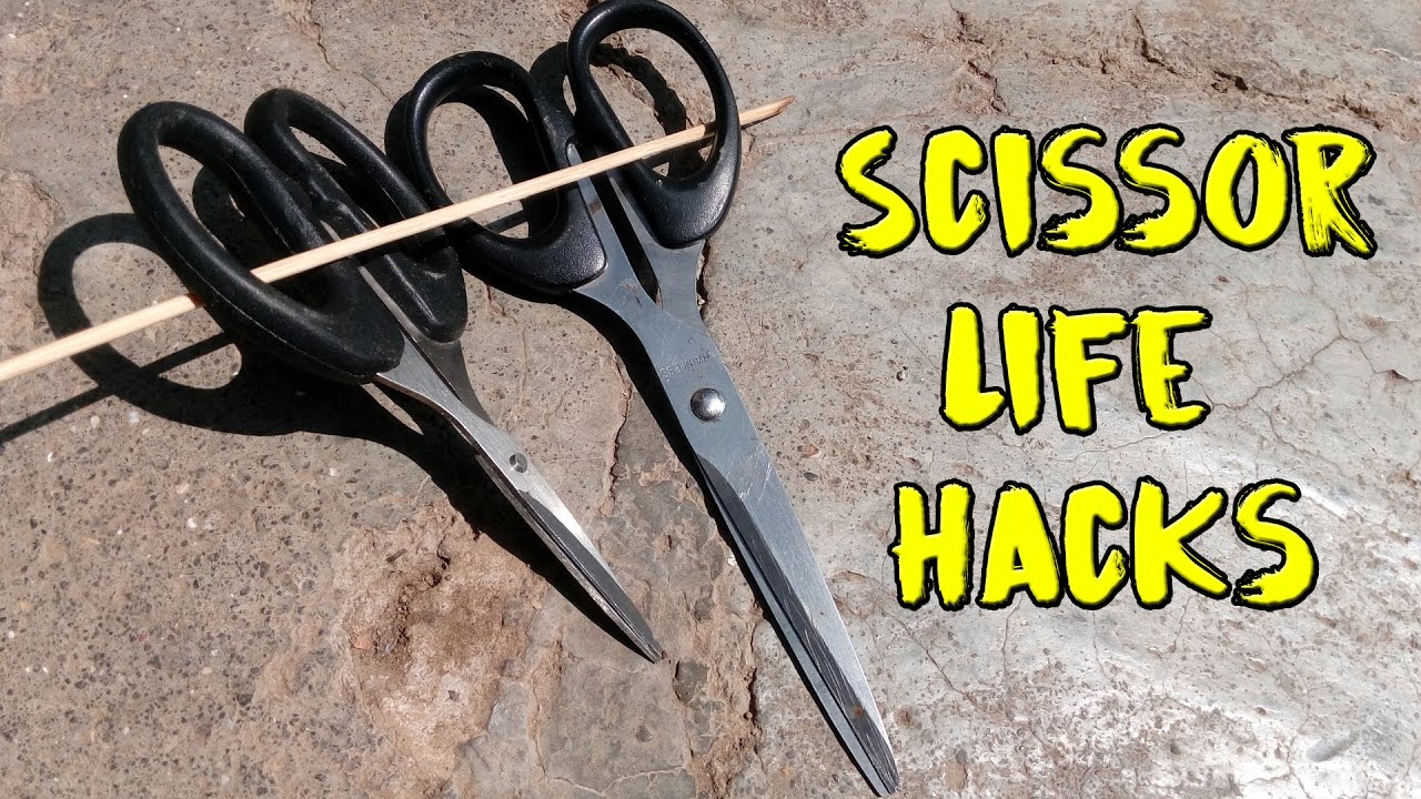 Top 3 Scissor Life Hacks That Will Make Your Life Easier YouTube