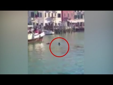 Muerte en Venecia: Filman cómo se ahoga un africano mientras le insultan