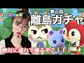 【第九話】離島ガチャで50000マイル使った結果... 【あつ森】