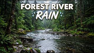 Cozy Cabin Rainstorm at Night | Relaxing Rain Sounds for Sleep & Study