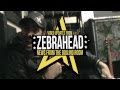 Zebrahead - Studio Update 2/3  -  Matty Guitar Edition (2011)