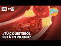 Así puede afectar el sobrepeso a tu colesterol