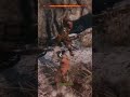 Sekiro: General Naomori Kawarada, No-Hit