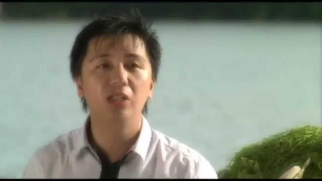 Bài Hát Cho Em - M4U