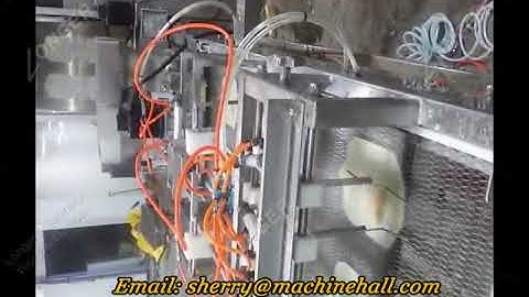 Automatic Spring Roll Machine Video