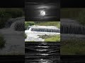 water fall #water #landscape #flowers #videos #birds #animalclips #bird #nature #animalvideos