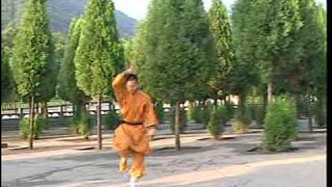 Shaolin Ying Pao Quan (Eagle boxing)