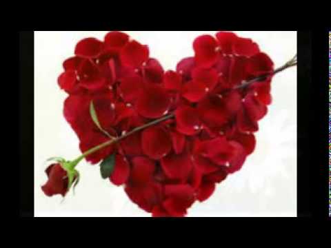 Beautiful pictures of flowers