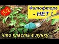 ЧТО КЛАСТЬ В ЛУНКИ ПРИ ПОСАДКЕ