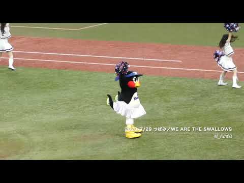 20/7/29 つばみ／We Are The Swallows