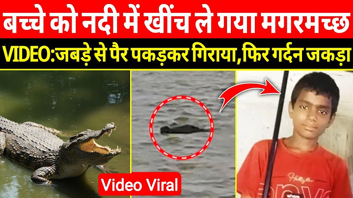The crocodile dragged the child into the river. VIDEO: He grabbed the child's leg with his jaws and made him fall, then grabbed his neck. #viralvideo