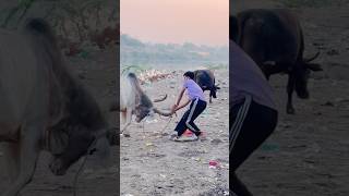 Subscribe me #youtubeshorts #shortvideo #explorepage