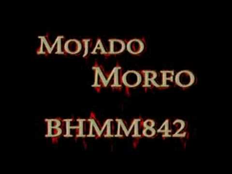 Obejrzyj Mojado - Morfo w YouTube Obejrzyj Mojado - Morfo w YouTube
