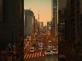 夕方に東京タワー見ると、なんか仕事の疲れ飛ぶよね…