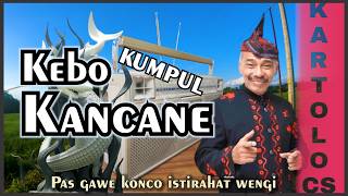 🎭 KEBO KUMPUL KANCANE | Dagelan Kartolo CS Penuh Guyonan Khas Cak Markeso