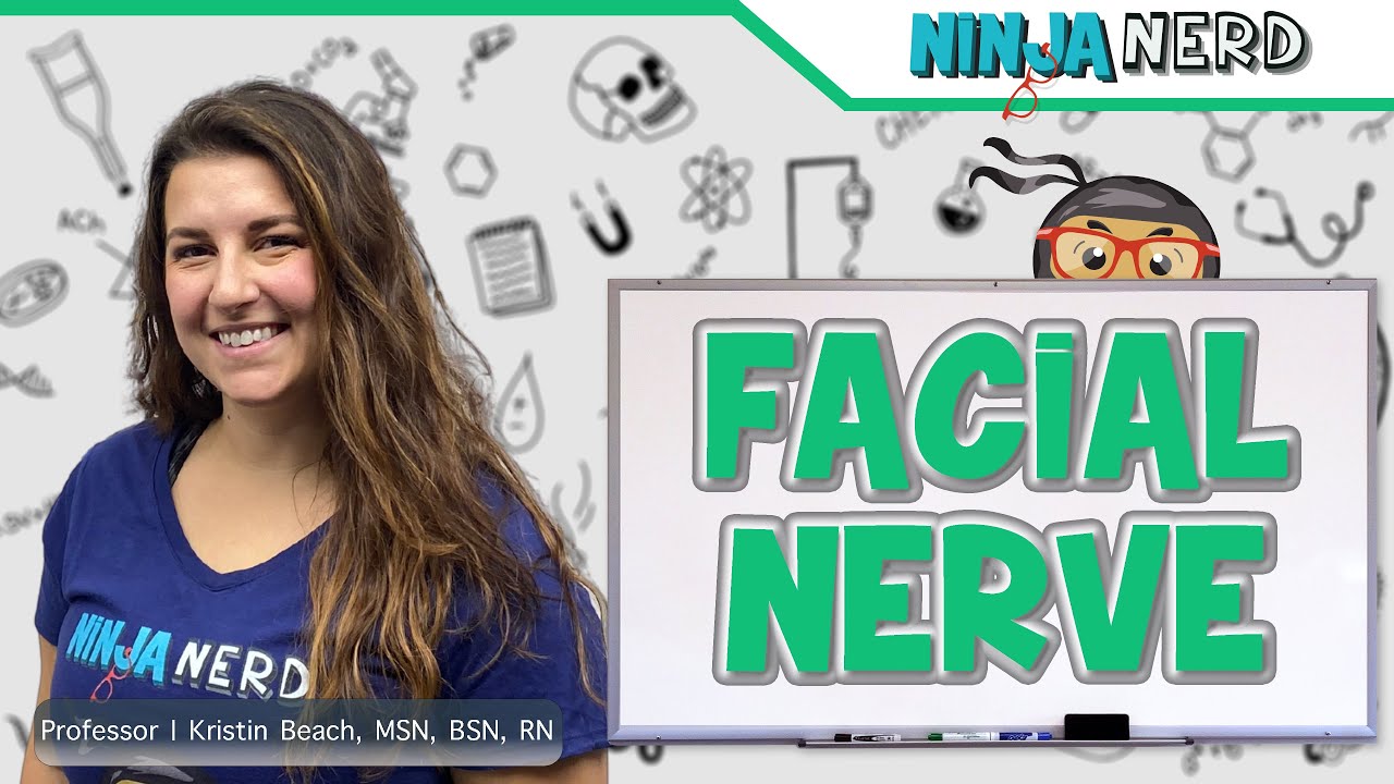 Лицевой нерв