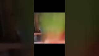 Exploding Watermelon Fart Ai Voice Version