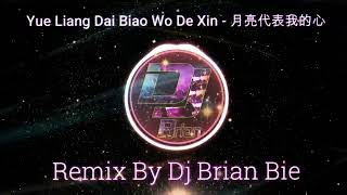 Yue Liang Dai Biao Wo De Xin - 月亮代表我的心 (Electro HardStyle) By Dj Brian Bie #remix #dj #djremix
