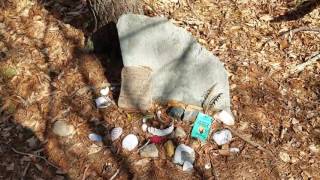 Royal Wampanoag Cemetery.  Lakeville, Ma.