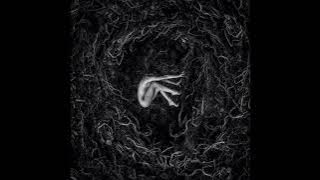 FVNERALS - Let the Earth Be Silent [FULL ALBUM] 2023