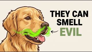 How Your Dogs Can Recognize a Bad Person (The Science You Missed)