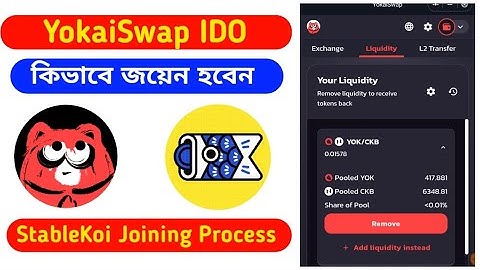 How To Join Yokaiswap Stablekoi IDO || How To Join Yokaiswap IDO || Yokaiswap New IDO By Income 24