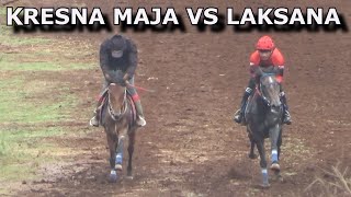 TEST DUEL KRESNA MAJA VS LAKSANA MAJA JALU STABLE