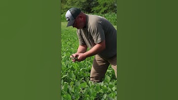 What Is Your Food Plot Really Telling You?