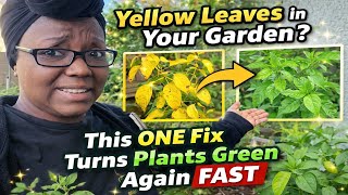 Download Lagu Gele bladeren in je tuin? Met deze ene oplossing worden je planten snel weer groen. MP3