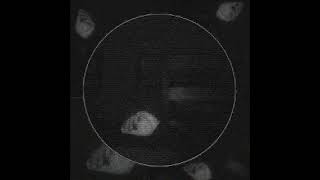 Alicks - Collider