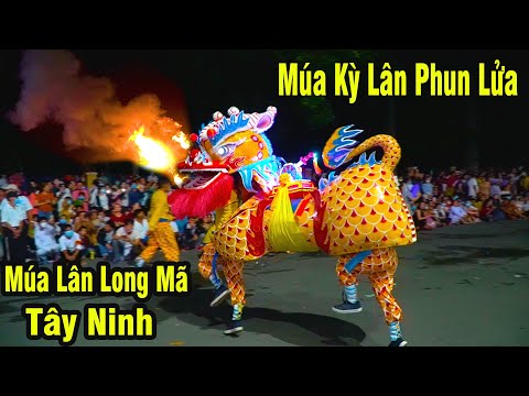 Múa Kỳ Lân Phun Lửa / Múa Rồng Nhang Tây Ninh / Múa Lân Long Mã 2021 | Foci