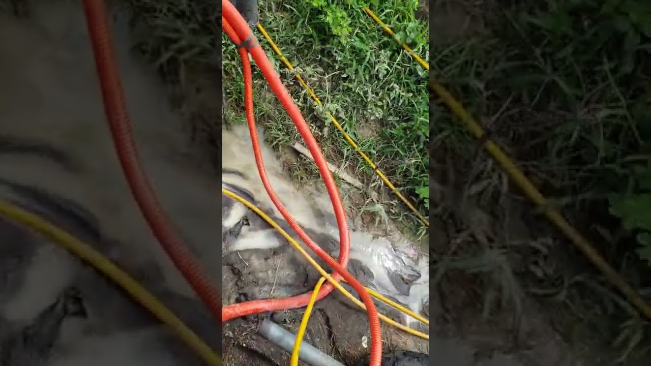 machine use to spray mangoes