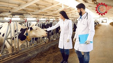 Smart Livestock Health Monitoring Systems: The Future of Farming!