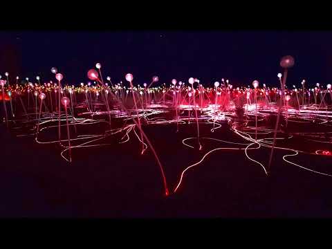 Bruce Munro: Field