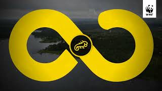 Impacto en los ecosistemas y comunidades