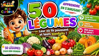 50 Légumes Apprendre Les Légumes, Leurs Bienfaits Et Où Ils Poussent