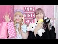 BIG KAWAII HAUL FROM ANIME NORTH 2019