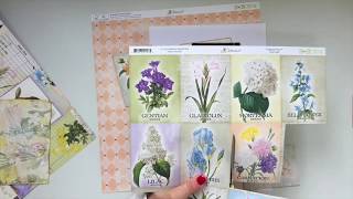BoBunny - Cottontail A4 Designer Layout Love