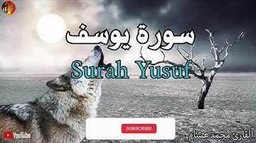 تلاوة سورة يوسف بصوت خاشع 😢 | قصة الصبر الجميل التي ستغير نظرتك للابتلاء تلاوة هادئة بصوت خاشع